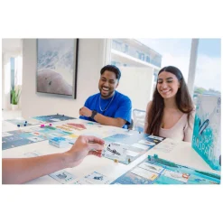 999 Games Finspan Bordspel