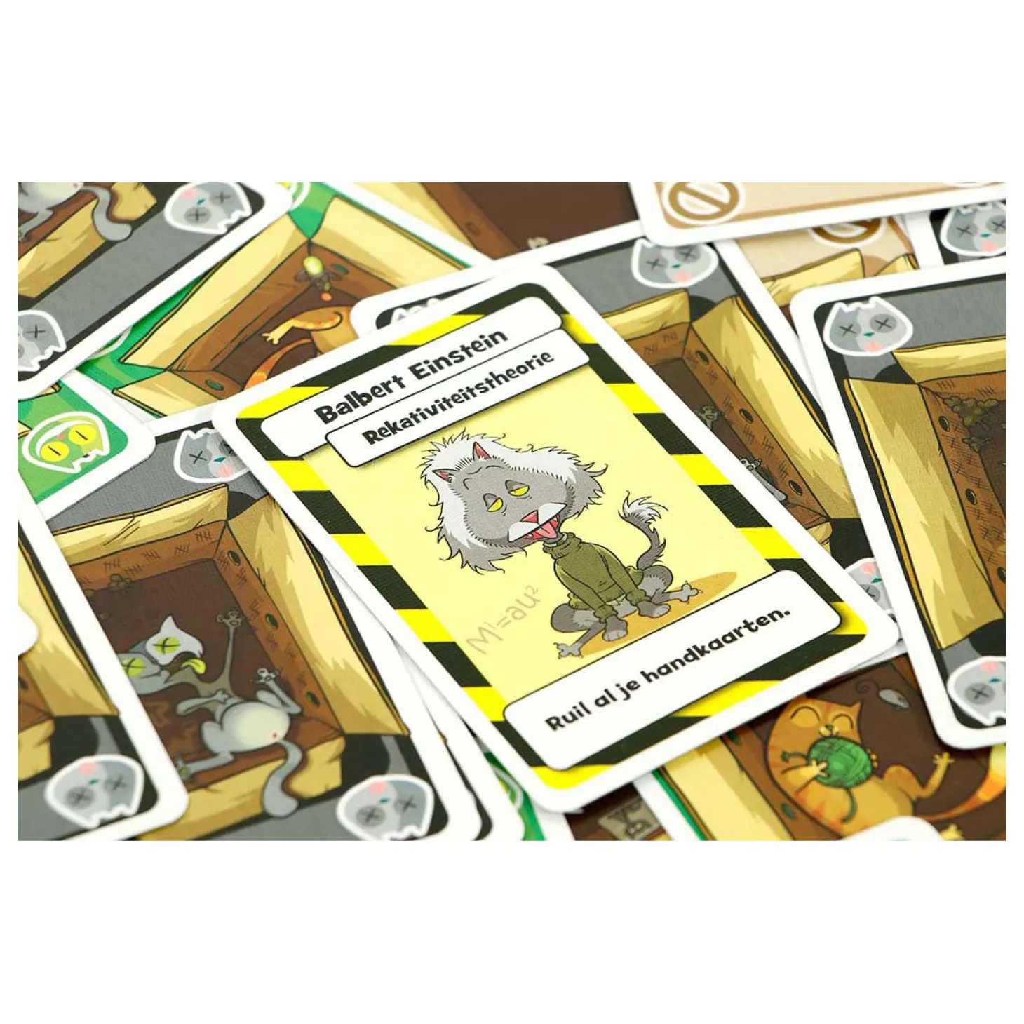 999 Games Schrodingers Katten Kaartspel