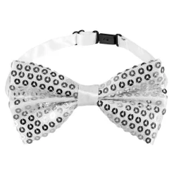 Accessoireset Zilver