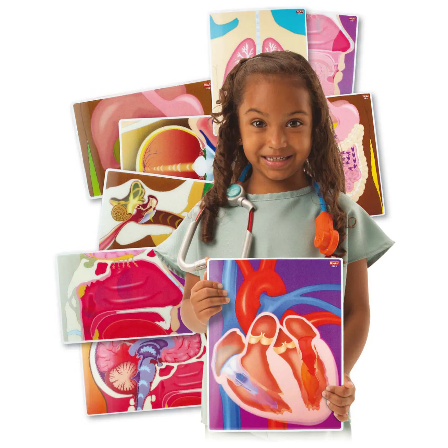 Actiekaarten mijn Lichaam - 10 Kaarten