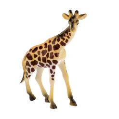 Animal World Wilde Dieren Deluxe, 5st.