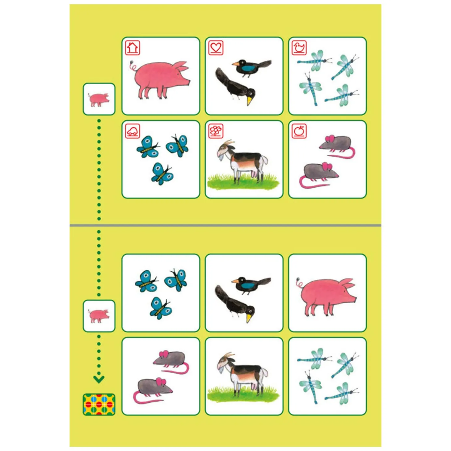 Bambino Loco Pakket Kikker Spelen en Leren