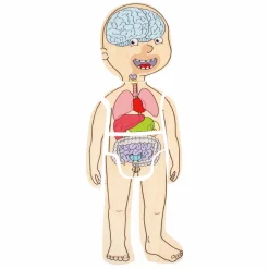 Beleduc Houten Lagenpuzzel Jongen - 5 Lagen