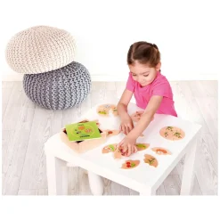 Beleduc Nawito Natuur Evolutie  Houten Kinderspel