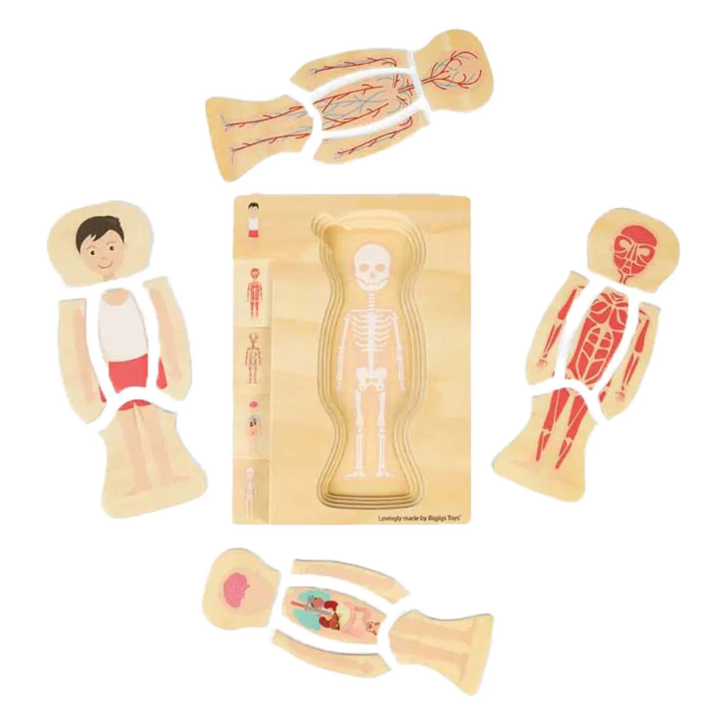 Bigjigs Houten Anatomiepuzzel - Jongen, 26st.
