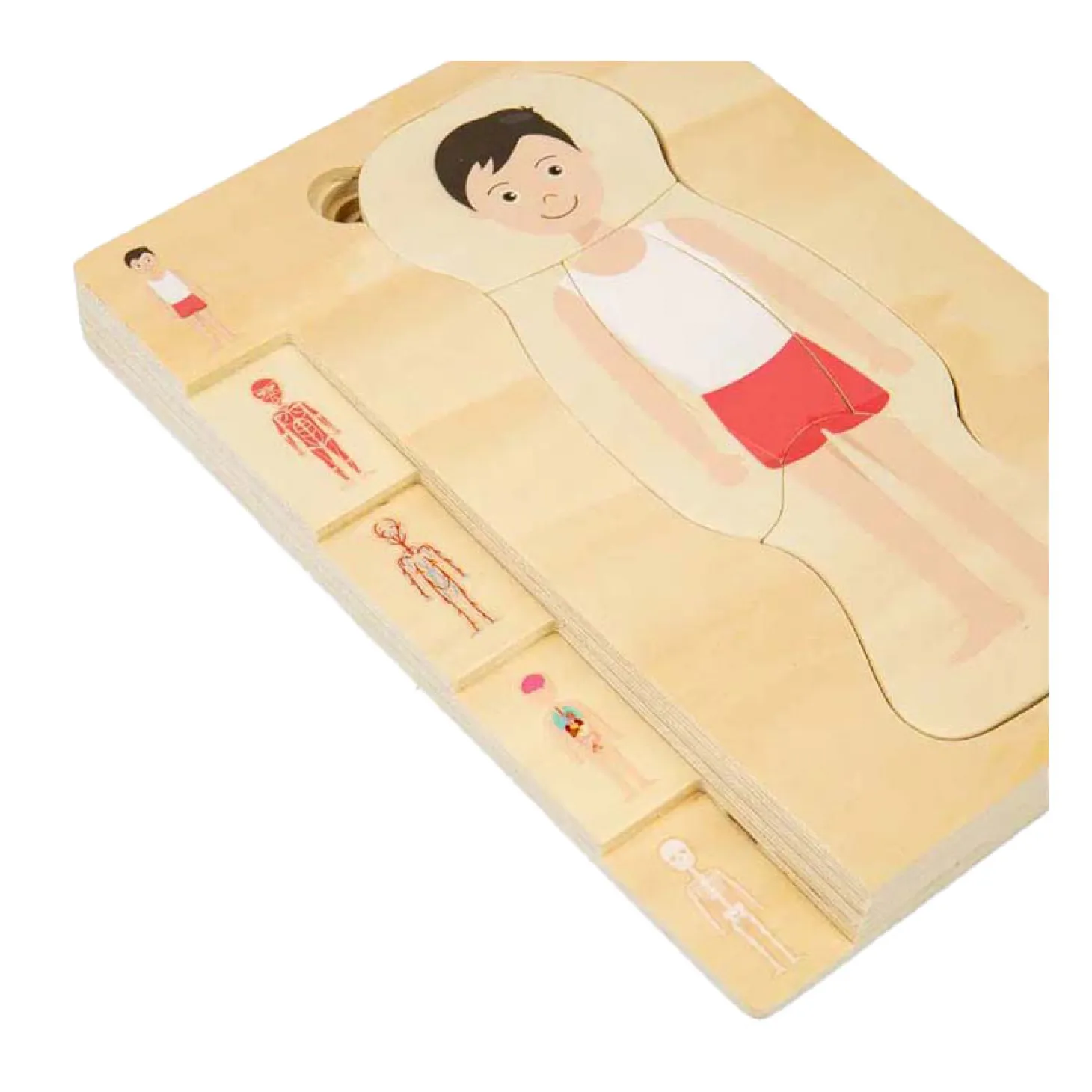Bigjigs Houten Anatomiepuzzel - Jongen, 26st.