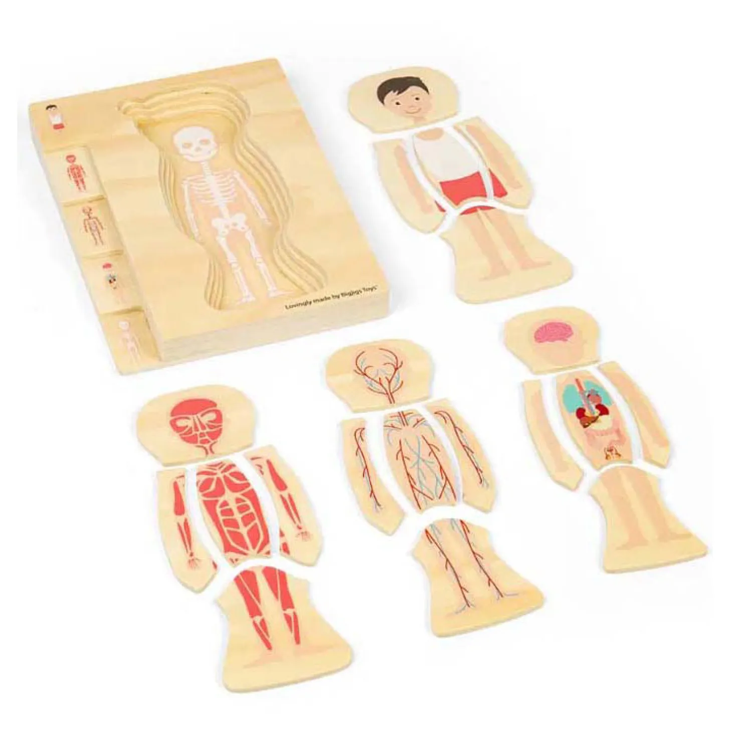 Bigjigs Houten Anatomiepuzzel - Jongen, 26st.