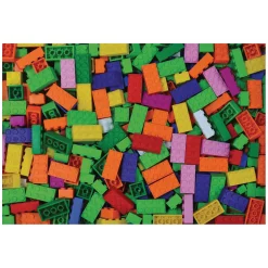 BiOBUDDi Education Small Bouwblokken - 1000dlg.