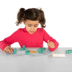 Breinpuzzel 3D Bouw Modellen