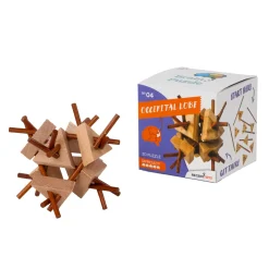 Breinpuzzel NO4: Occipatale Kwab - Breinbreker