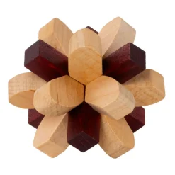 Breinpuzzel NO2: Parietale Kwab - Breinbreker