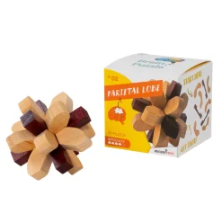 Breinpuzzel NO2: Parietale Kwab - Breinbreker