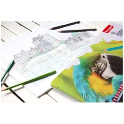 Bruynzeel Parrot 45 Kleurpotloden