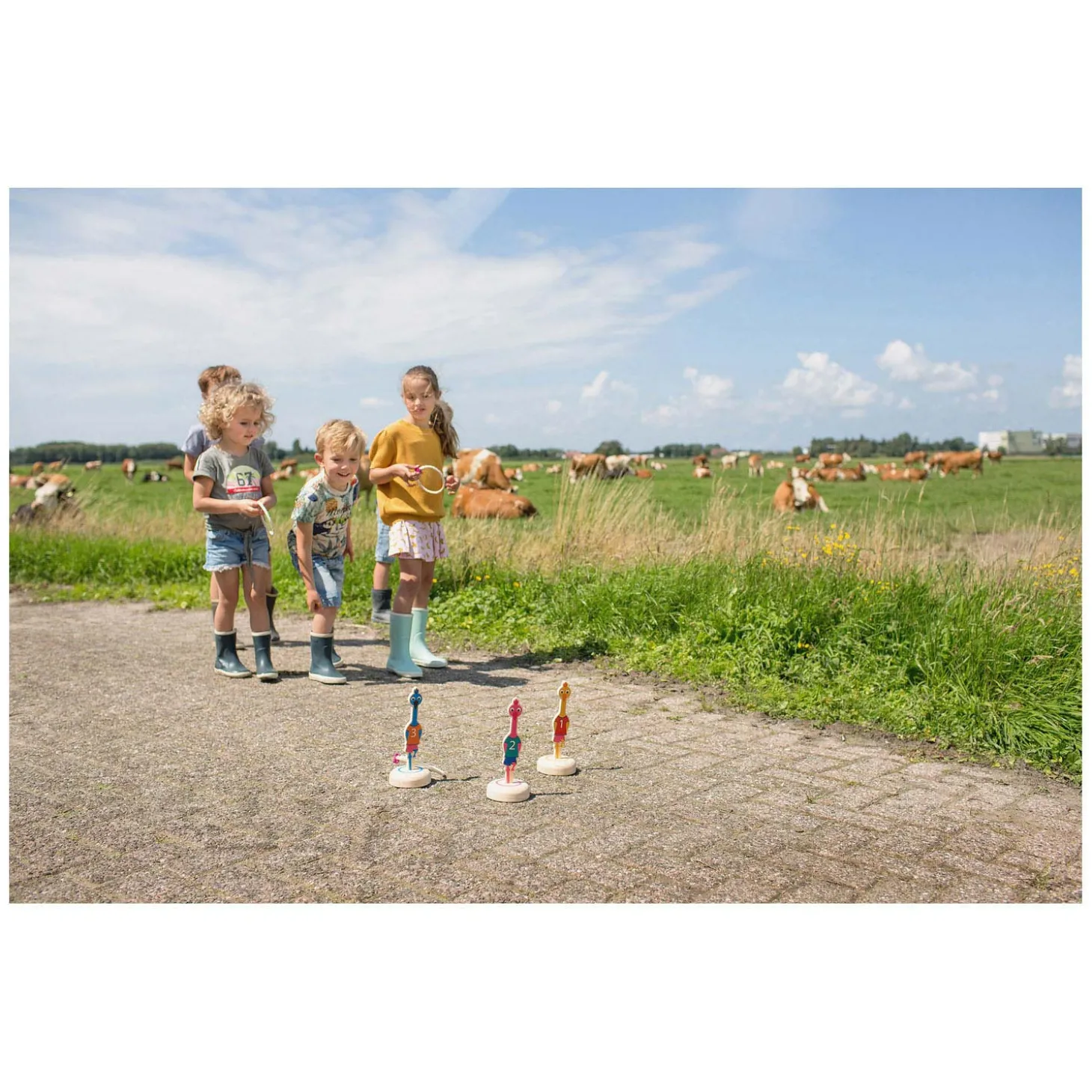 BS Toys Ringwerpen Vogels Hout - Werpspel