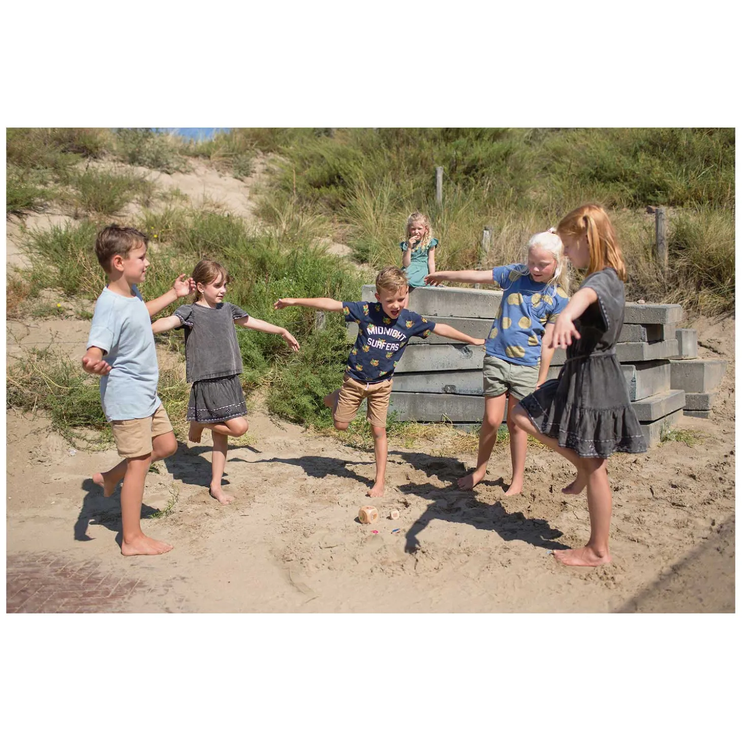 BS Toys Vogels in Actie Hout - Kinderspel