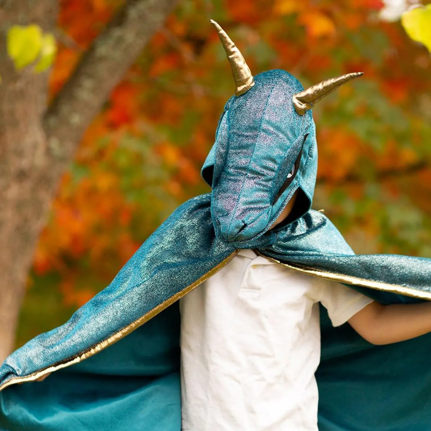 Cape Draak met Vinnen Blauw, 5-6 jaar