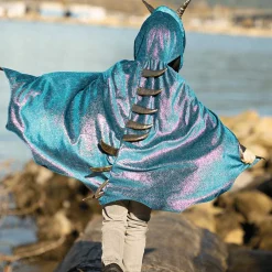 Cape Draak met Vinnen Blauw, 5-6 jaar