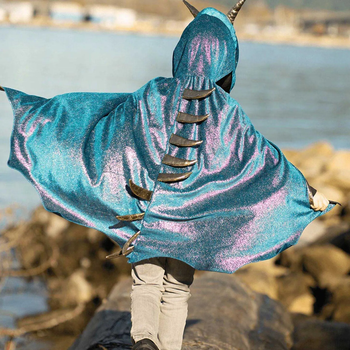 Cape Draak met Vinnen Blauw, 5-6 jaar