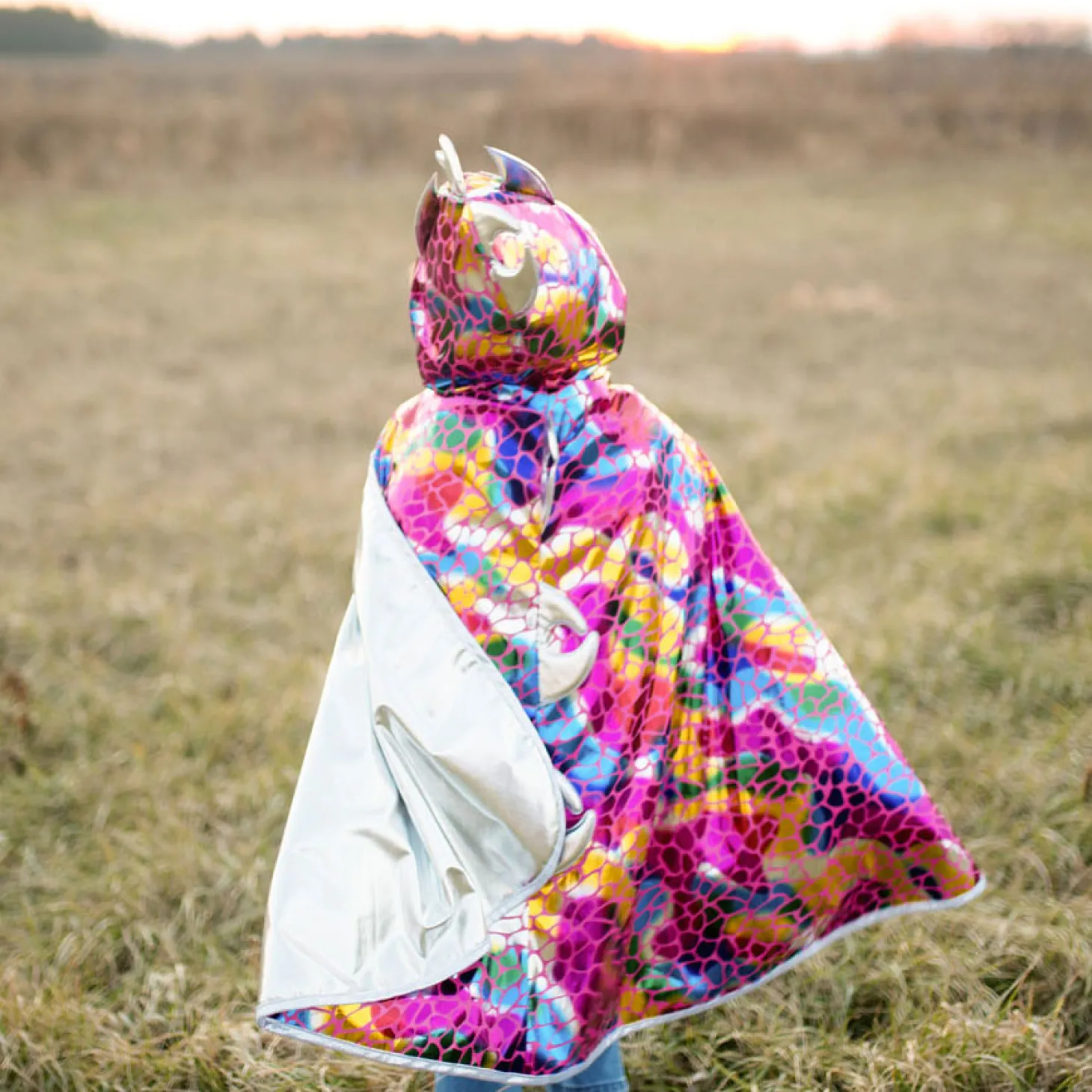 Cape Draak/Ridder Omkeerbaar, 5-6 jaar