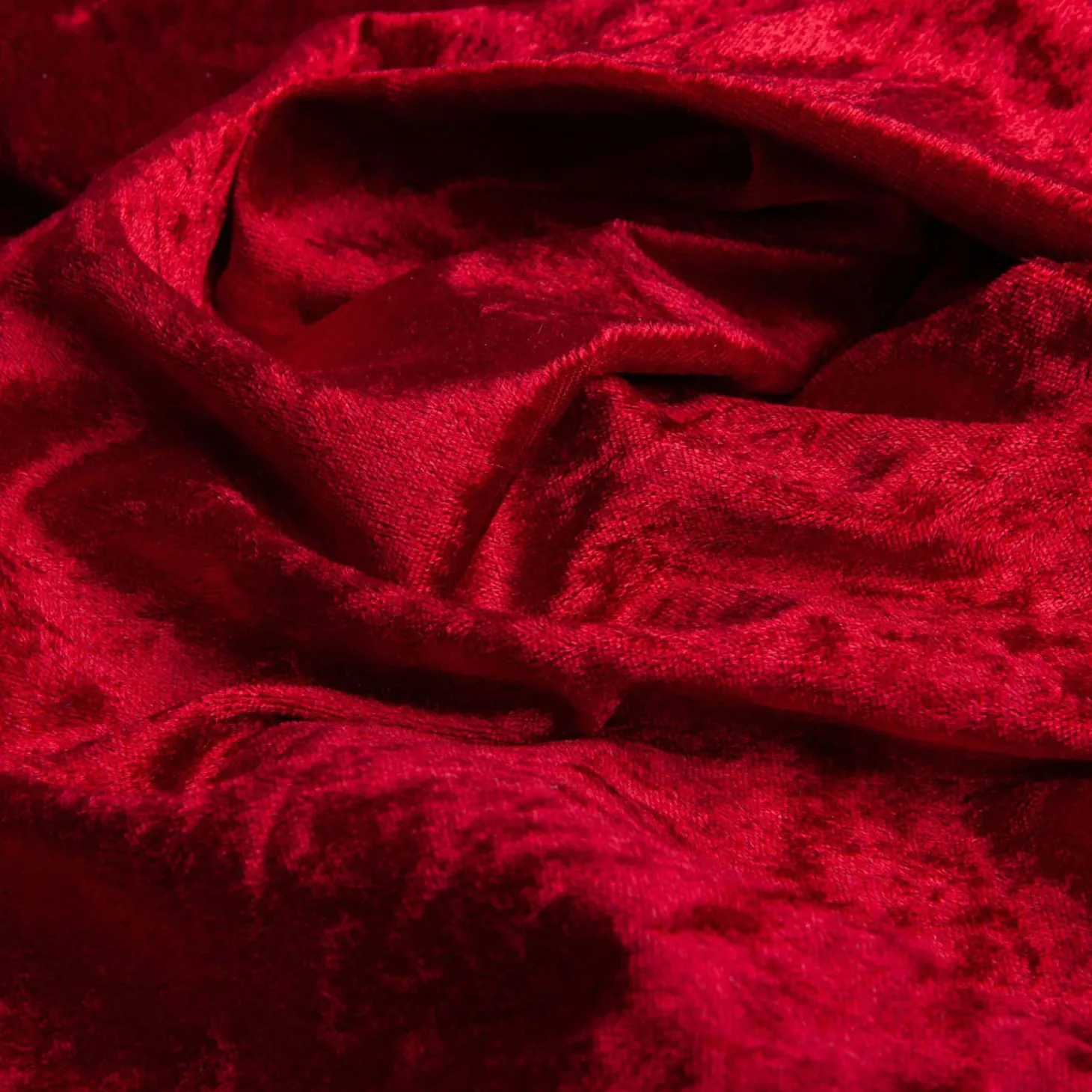 Cape Roodkapje, 7-8 jaar