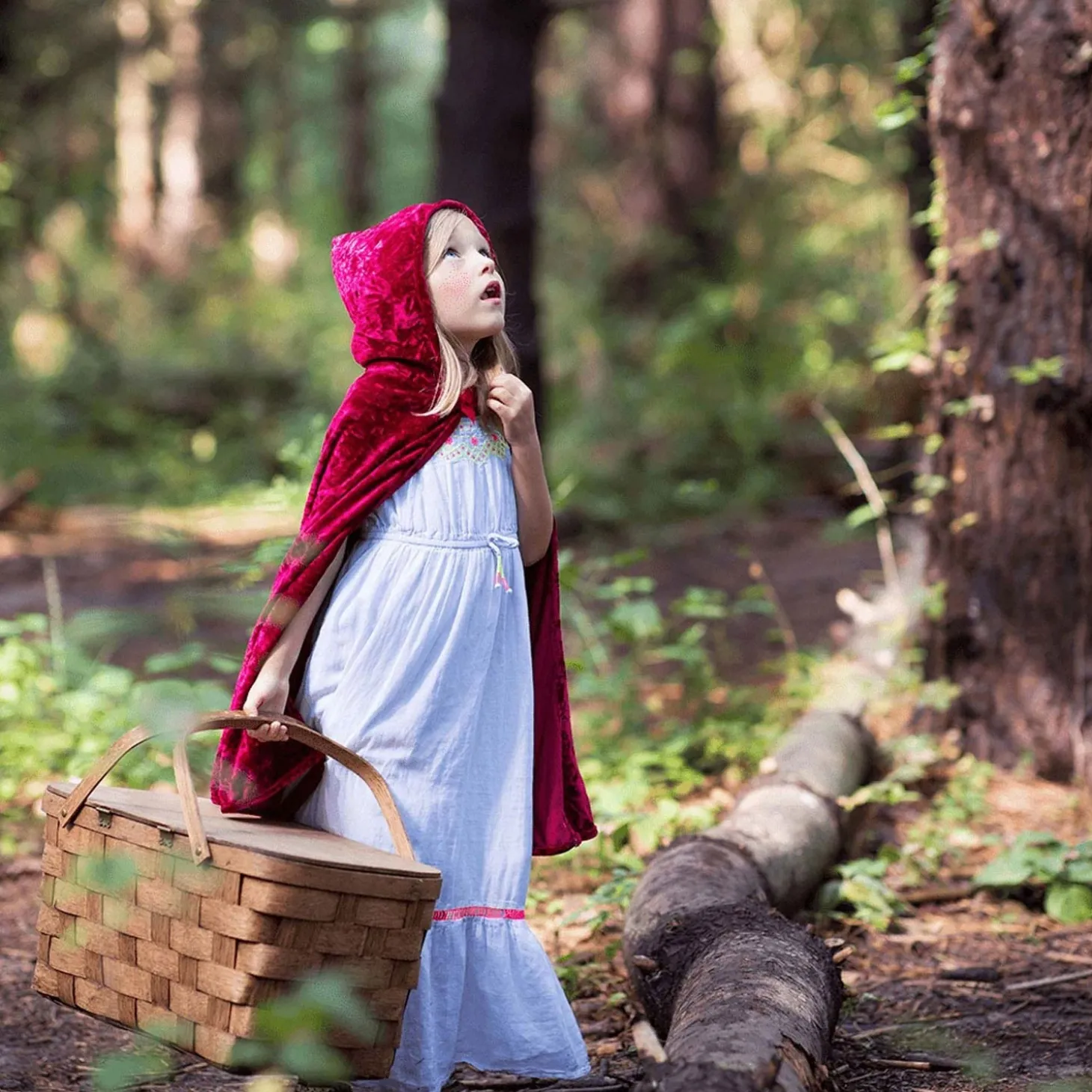 Cape Roodkapje, 5-6 jaar