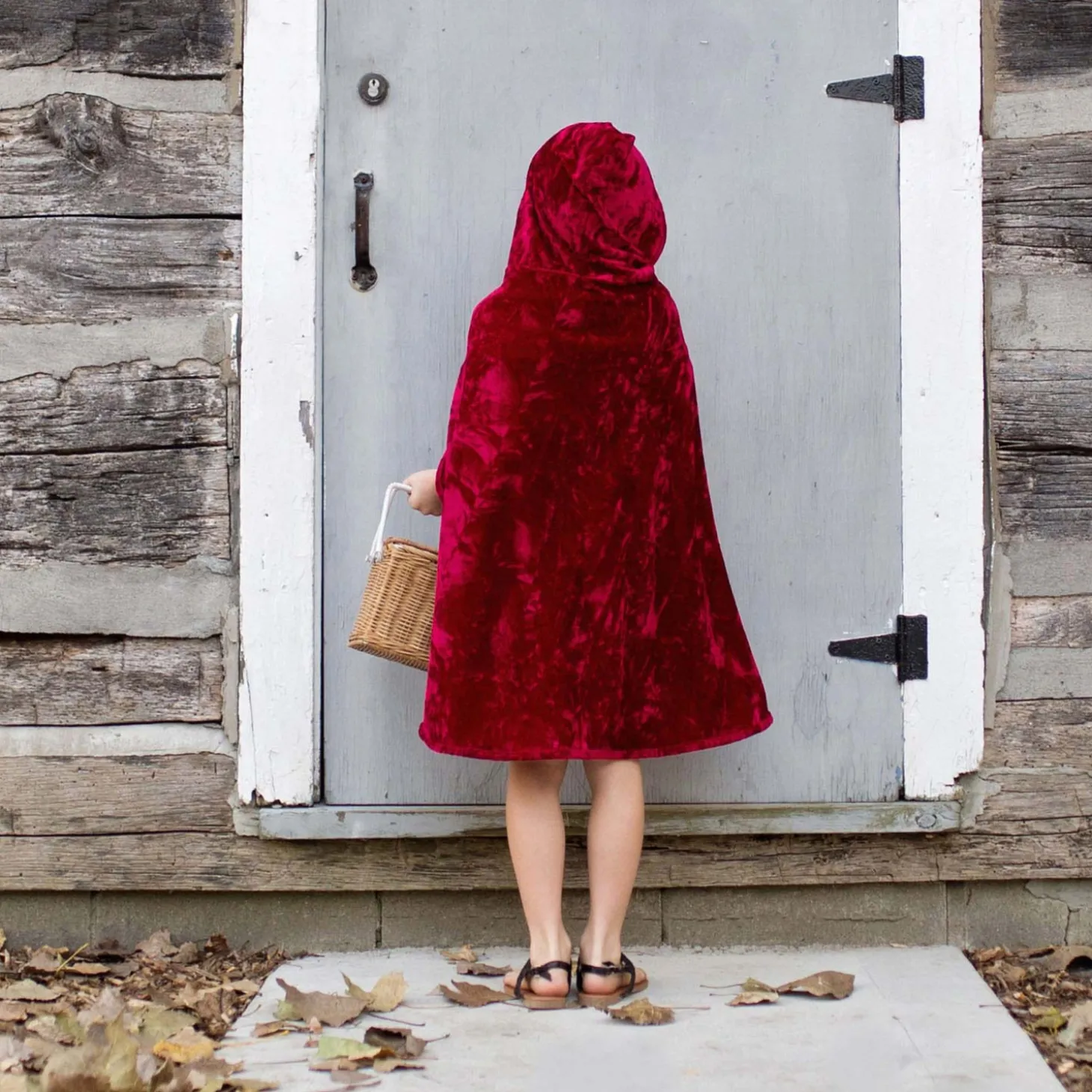 Cape Roodkapje, 5-6 jaar