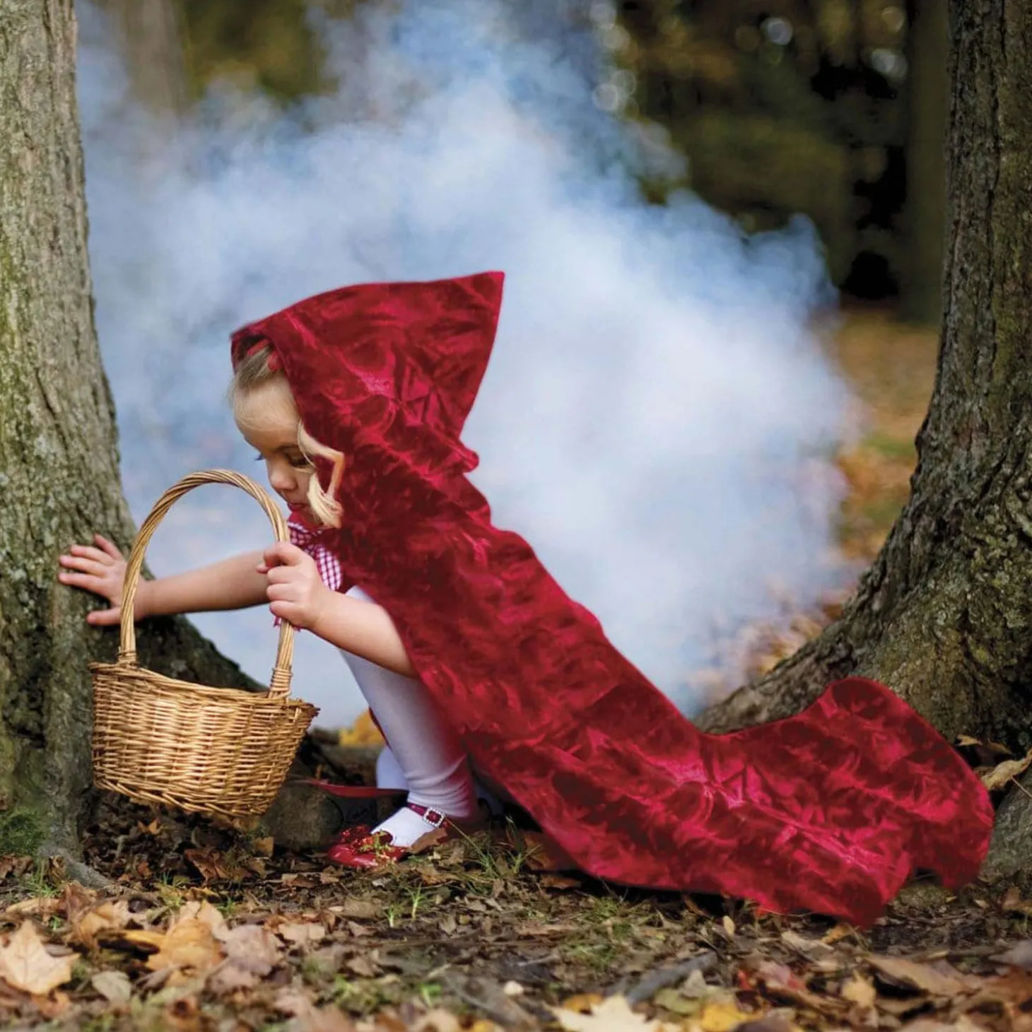 Cape Roodkapje, 5-6 jaar