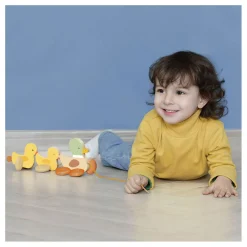 Classic World Houten Trekfiguur Eenden