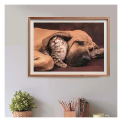 Clementoni Legpuzzel Hond en Kat, 500st.