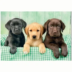 Clementoni Legpuzzel Three Labs, 1000st.