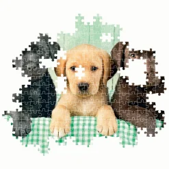 Clementoni Legpuzzel Three Labs, 1000st.