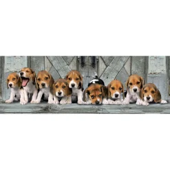 Clementoni Panorama Puzzel Beagles, 1000st.