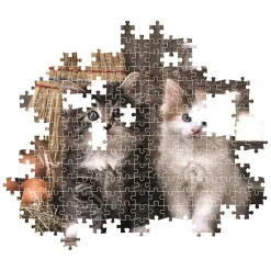 Clementoni Puzzel - Schattige Kittens, 1000st.