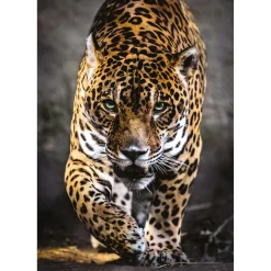 Clementoni Puzzel Jaguar, 1000st.