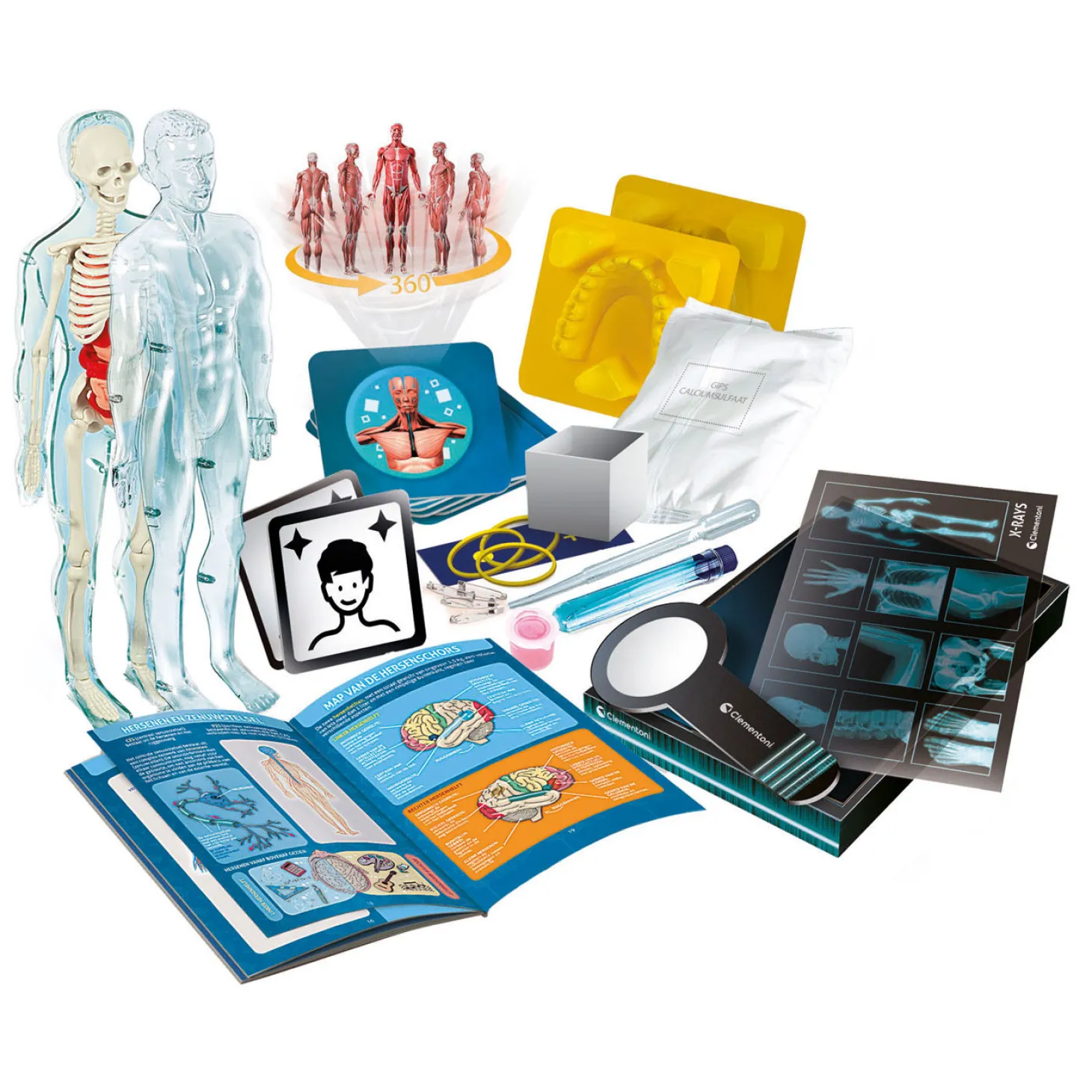 Clementoni Wetenschap en Spel - Super Anatomie