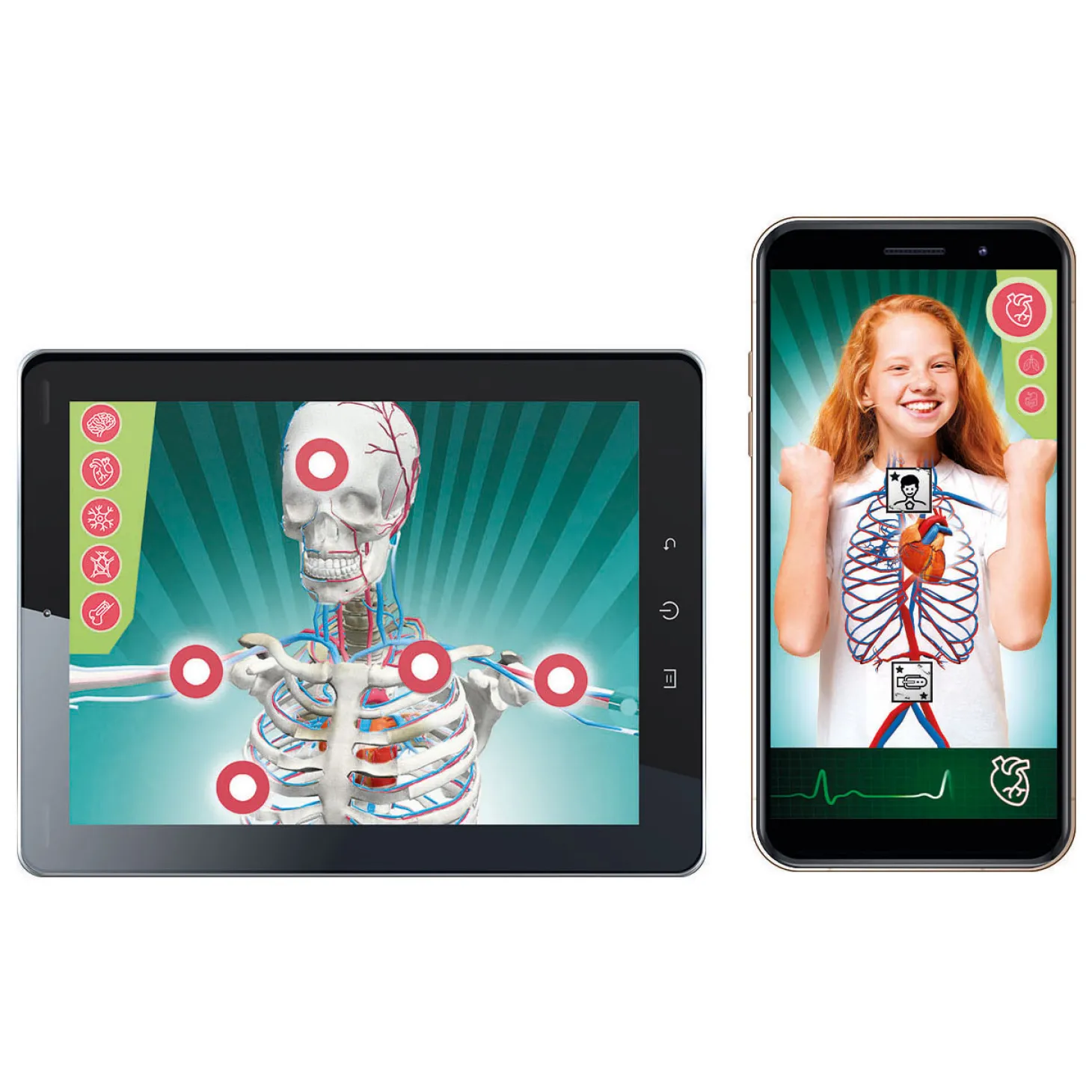 Clementoni Wetenschap en Spel - Super Anatomie