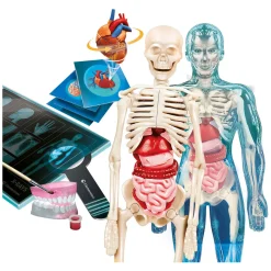 Clementoni Wetenschap en Spel - Super Anatomie