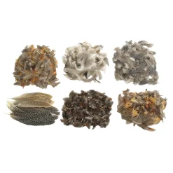 Colorations - Natuurlijke Veren