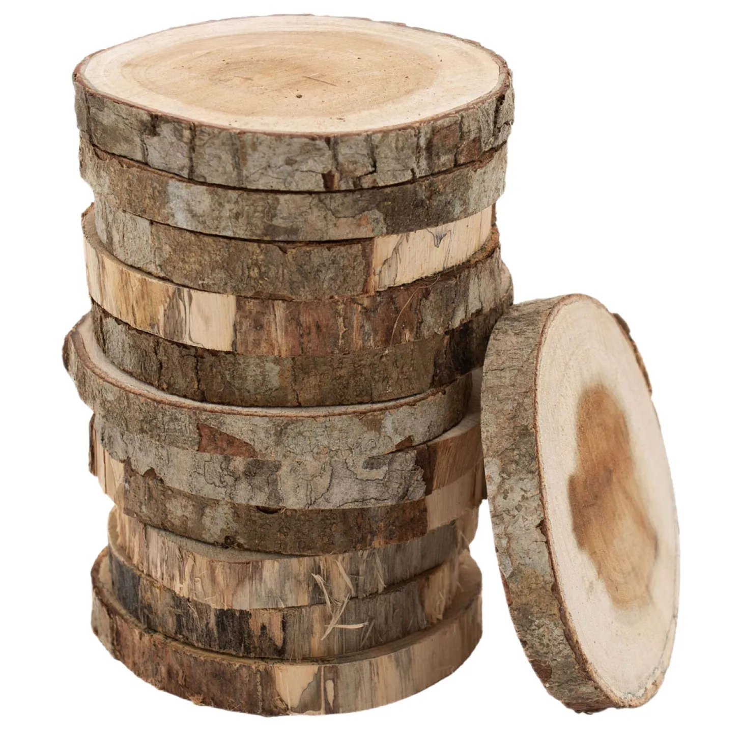 Colorations - Onbewerkte Houten Schijfjes 8-10cm, 12st.