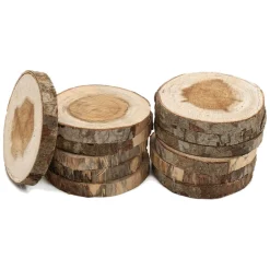 Colorations - Onbewerkte Houten Schijfjes 8-10cm, 12st.