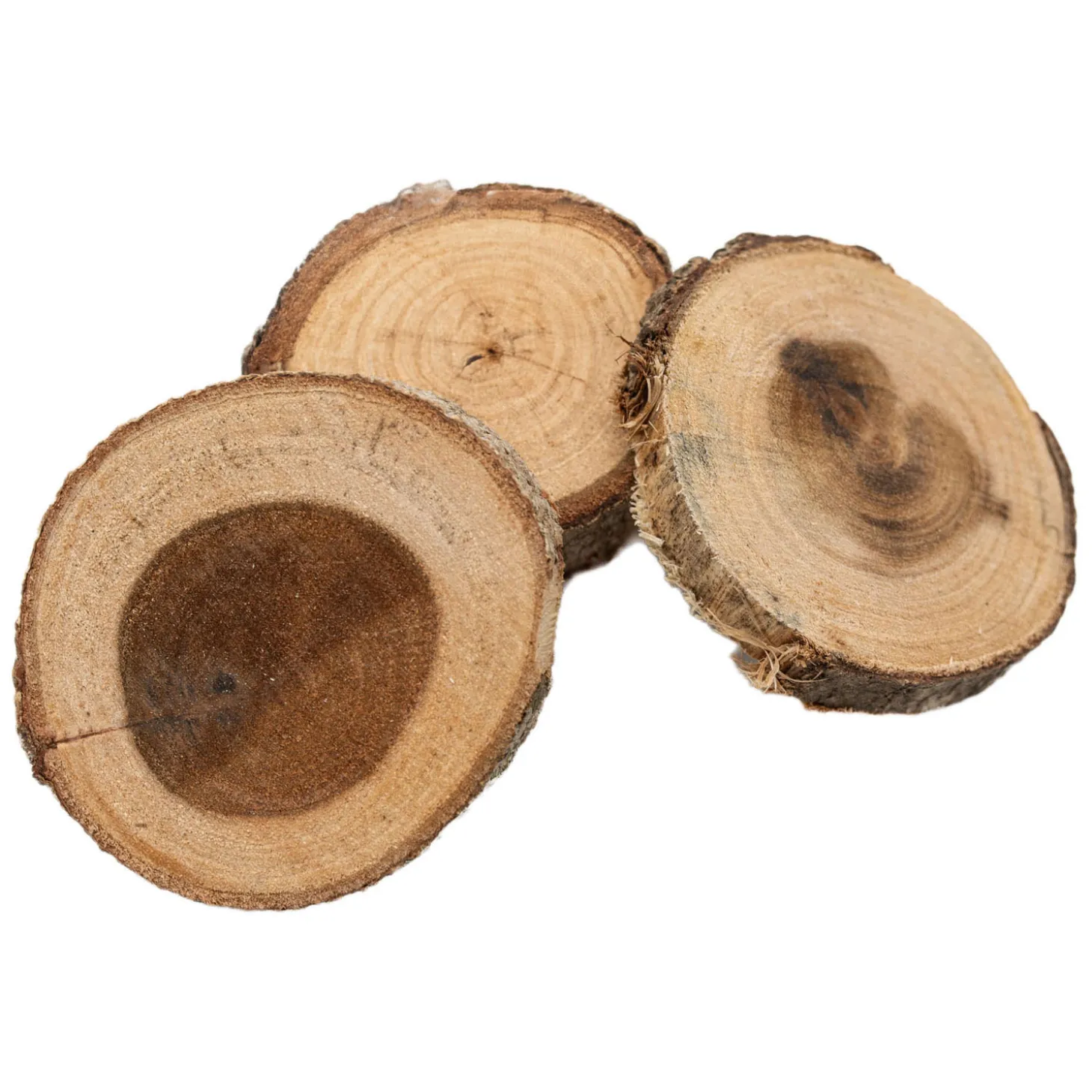 Colorations - Onbewerkte Houten Schijfjes 8-10cm, 12st.