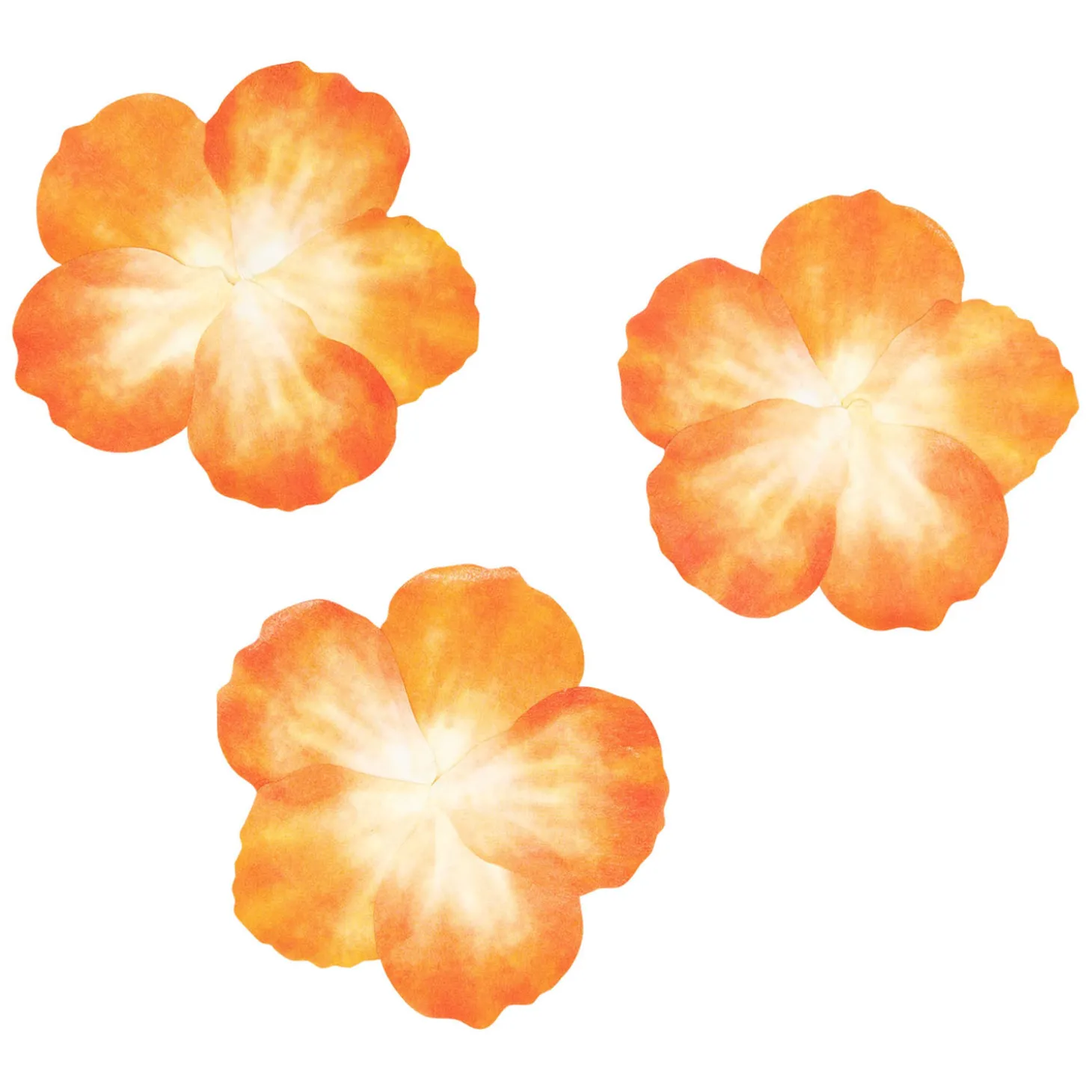 Colorations - Washi Stickers - Oranje Bloemblaadjes, 80st.