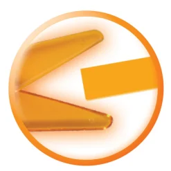 Crayola Mini Kids - Kinderscharen, 3st.