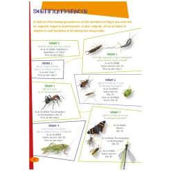 De leukste insectengids voor kids