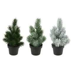 Denneboom in Pot, 33cm