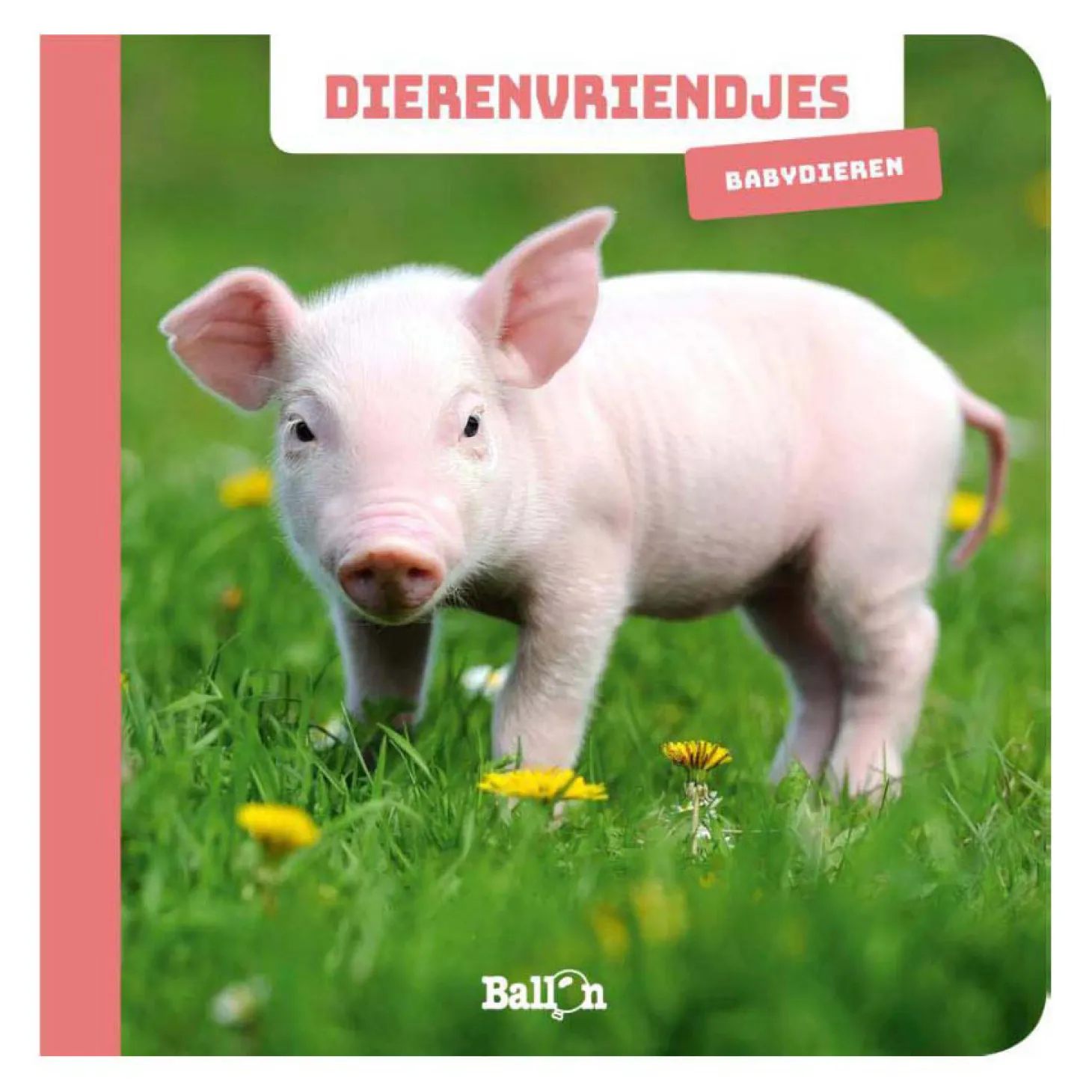Dierenvriendjes - Fotokijkboek Babydieren