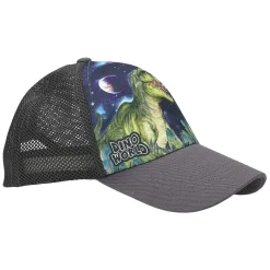 Dino World Pet met Print Galaxy