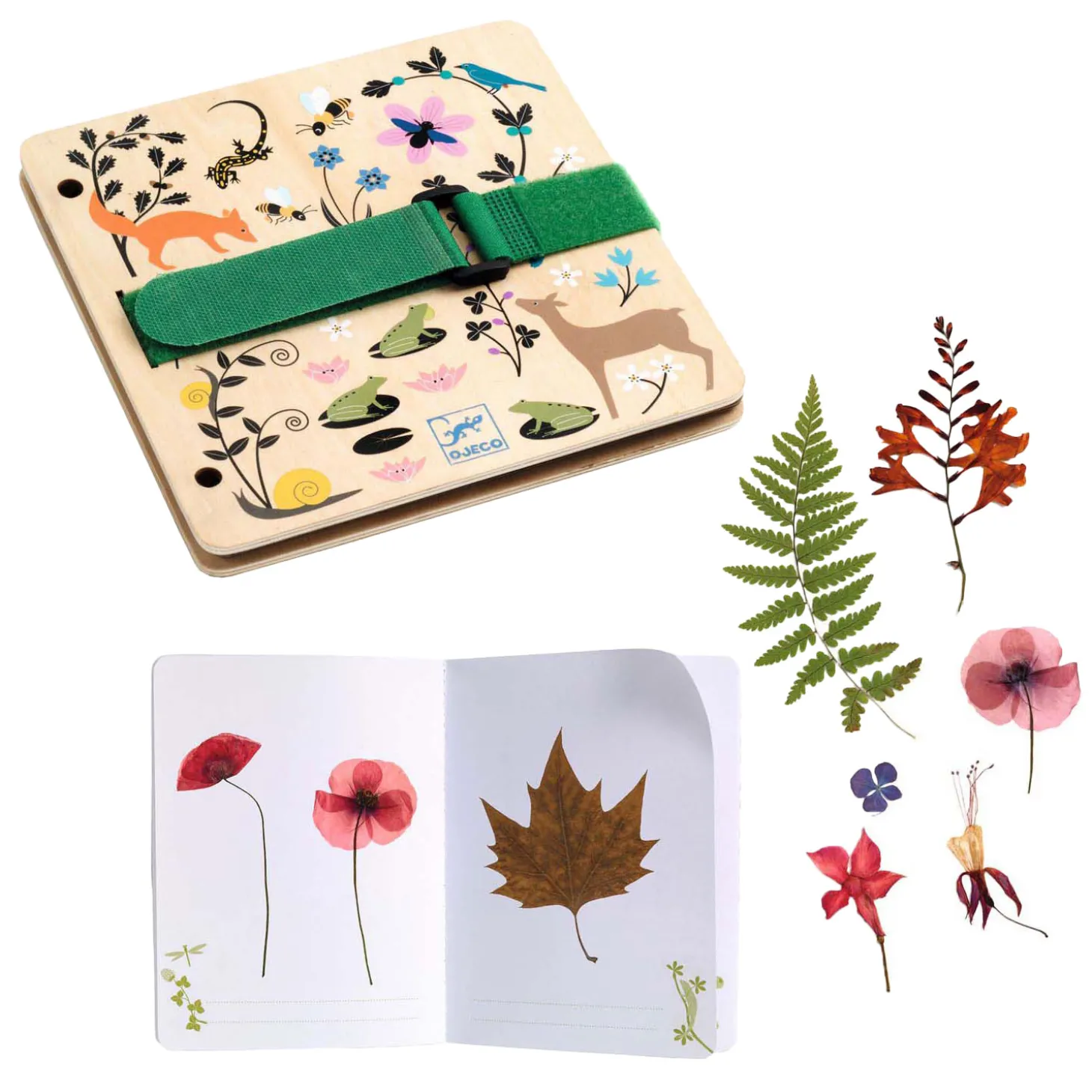 Djeco DIY - Knustelset Herbariumschrift