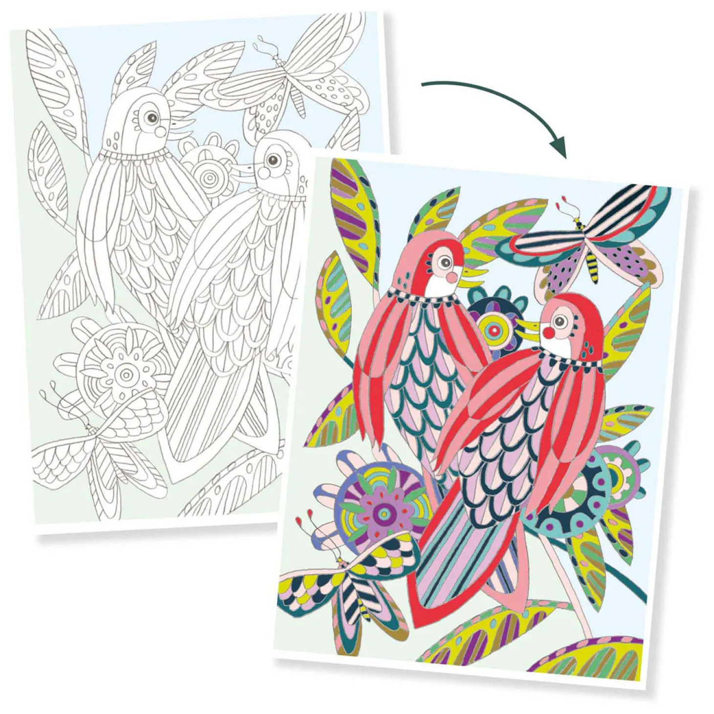 Djeco Kleurplaten Vogels