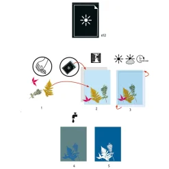 Djeco Knutselen Cyanotypepapier Navulet - Bladeren